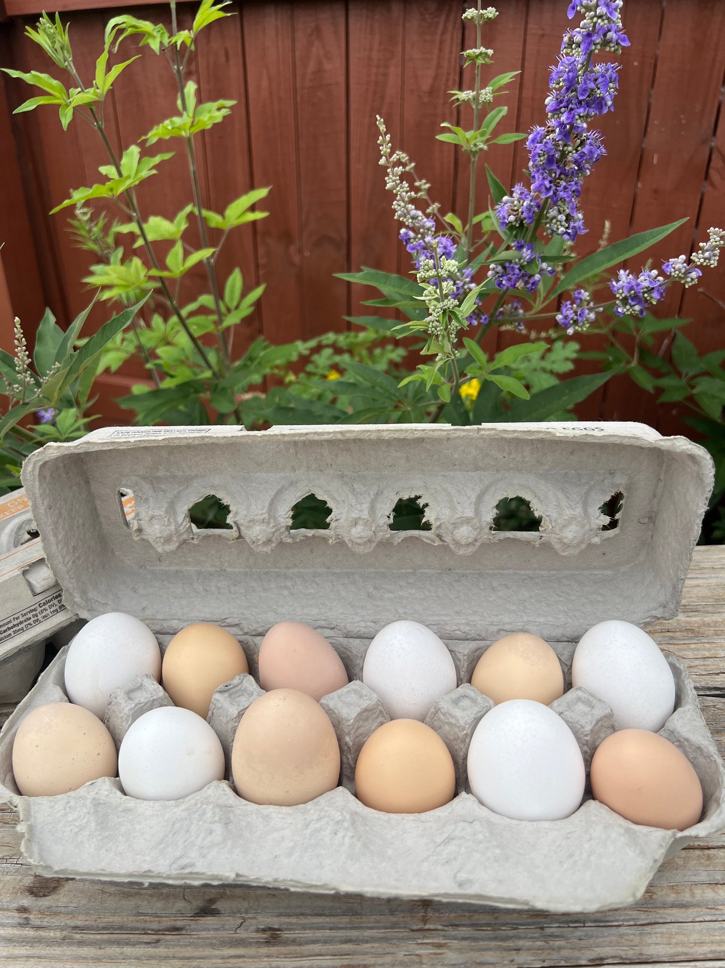Dozen Fresh Eggs