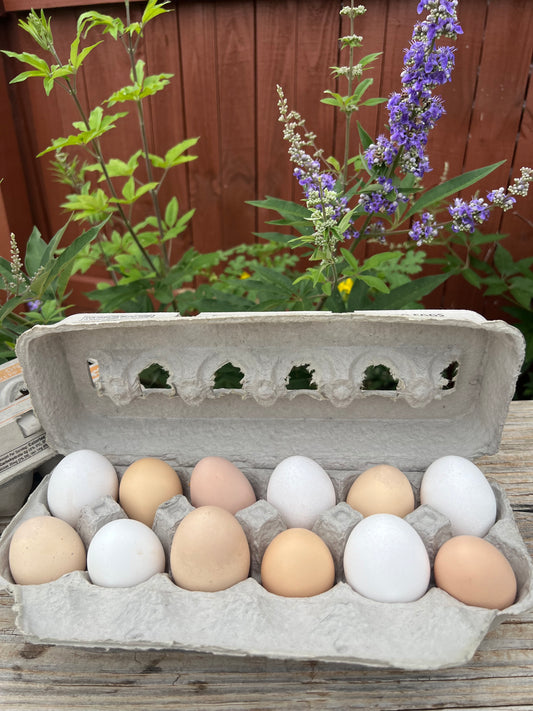 Dozen Fresh Eggs