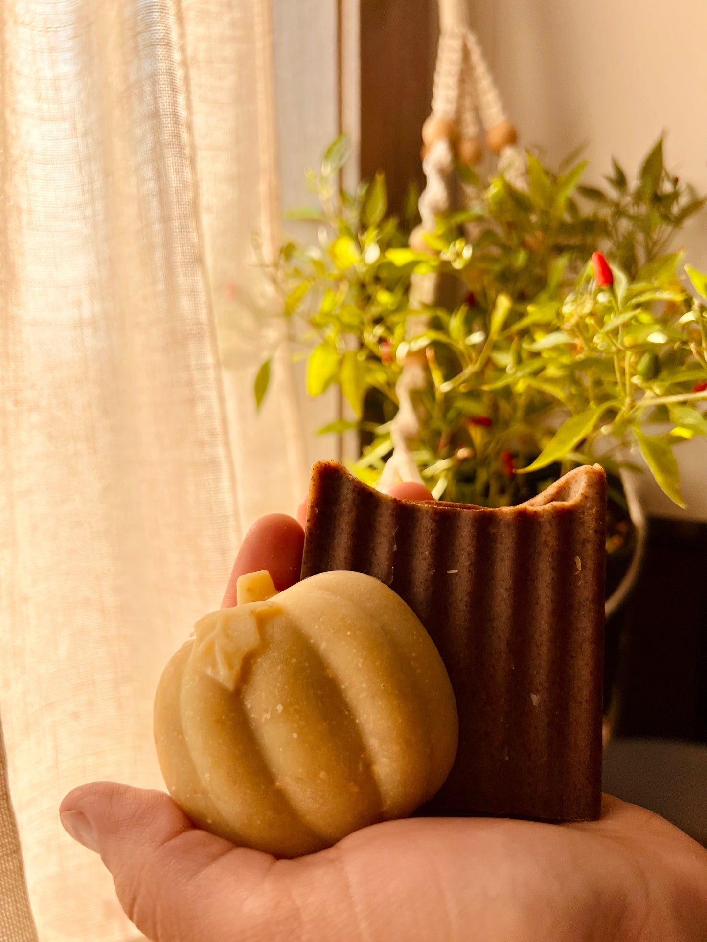 Pumpkin Spice Goat’s Milk Soap